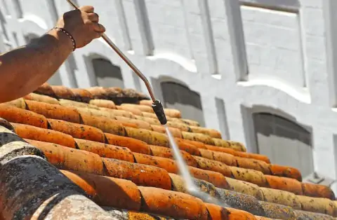 Nettoyage de toitures - Longechenal